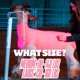 thumbnail image 5 of Funda para cordero Showpro OUTFITTING CHAMPIONS Mediana 50‑64 kg, 5 of 5