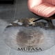 thumbnail image 4 of Mufasa Alfombra Redonda de Felpa Coral, Antideslizante, No Desprende Pelusas, Lavable y Duradera para Salón, Dormitorio y Habitación de Niños 60cm, 4 of 6