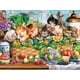 thumbnail image 1 of Rompecabezas Ceaco con gatitos en una cesta de 300 piezas, 1 of 8