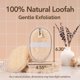 thumbnail image 5 of Esponja de baño Feffo Lufa 2 unidades oval, 5 of 8