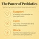 thumbnail image 4 of Champú y acondicionador probiótico para mascotas Skout Honor con aceite de aguacate y omega-3, 97% natural, sin parabenos ni sulfatos, libre de crueldad animal, 16 oz, madreselva, 4 of 8