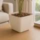 thumbnail image 1 of Macetero Cuadrado Beige 20x16 cm Plastico Resistente, 1 of 8