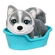 thumbnail image 4 of Little Live Pets Cachorro Mini Husky Aurora, 4 of 7