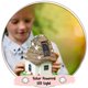 thumbnail image 2 of Fairy Garden House WILD PIXY brilla en la oscuridad con luz solar, 2 of 8