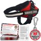 thumbnail image 1 of Juego de accesorios para perros de servicio Pelto con chaleco, etiqueta de identificación y 50 tarjetas ADA, 1 of 3