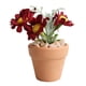 thumbnail image 1 of Casa De Muñecas A Escala 1:6, Accesorios De Flores De Margaritas En Maceta, Miniadornos Rojos, 1 of 5