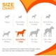 thumbnail image 5 of Juguete masticable Nylabone Baguette Power para perros grandes de hasta 50 libras, 5 of 9