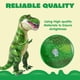 thumbnail image 3 of Juguete inflable con forma de dinosaurio JOYIN T-Rex de 30 cm de altura para niños y adultos, 3 of 7