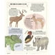 thumbnail image 4 of Vida salvaje de Editorial Contrapunto, 4 of 7