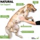 thumbnail image 3 of Masticables probióticos Deley Naturals 4B CFU 120 unidades, pollo, 3 of 3