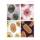 thumbnail image 4 of La vida de los virus, 4 of 7
