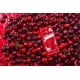 thumbnail image 2 of Eau de Juice Body Mist Cosmopolitan Cherry Cherie 240 ml, 2 of 2