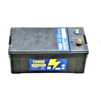 Powertruck - Bateria 200 Amp 1100 Cca Borne Estandar
