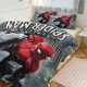 thumbnail image 1 of Spiderman Bedding Sets for Kids Men Women Twin Size, 1 of 5