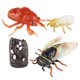 thumbnail image 2 of Juego De Ciclo De Crecimiento De Cigarra, Animal De Simulación Para Ni?os, Ni?os, Ni?as, 2 of 5