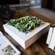 thumbnail image 4 of Planta artificial Vickerman Everyday, 30 x 30 cm, suculenta, color verde, 4 of 7