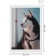 thumbnail image 2 of Husky Siberiano Kits de Pintura de Diamantes para Adultos 5D DIY Diamond Art Kits Full Drill Diamond Dots para Regalo Decoración de Pared y Relajación Artes de Gemas 20*30cm, 2 of 6