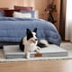 thumbnail image 3 of Cama Colchon Ortopedico Norplat 110cm Xxl Perro Antiestres, 3 of 3
