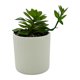 thumbnail image 3 of Planta Artificial 16cm, 1 unidad, 3 of 4