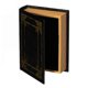 thumbnail image 1 of Caja de almacenamiento VW Vintiquewise 18 cm x 5 cm x 23 cm negra, 1 of 7