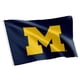 thumbnail image 1 of Flag Desert Cactus, Universidad de Michigan, UM Wolverines, 3 x 5 pies, 1 of 5