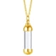 thumbnail image 2 of Encantos Acero Vidrio Tubo De Recipiente Abrible Urna Colgante Collar Dorado L, 2 of 2