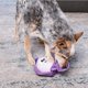 thumbnail image 5 of Puzzle para perros Outward Hound Nina Ottosson Hide N' Find de peluche, 5 of 6