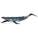 thumbnail image 2 of Figuras De Acción De Ballena Azul Realistas Modelo De Criatura Animal Marino Juguete De Aprendizaje, 2 of 3