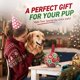 thumbnail image 2 of Pelota de Navidad QDAN 20 cm con Silbido y Correas – Regalo Navideño para Perro, 2 of 9