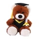 thumbnail image 2 of Juguete De Peluche De Graduación Con Gorro De Bata Para Regalo Escolar De Graduación Oso Pardo, 2 of 5