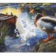 thumbnail image 4 of Rompecabezas Springbok Mallard Morning Glow de 1000 piezas, 4 of 9