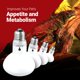 thumbnail image 4 of Bombilla Basking Light de 100 W, paquete de 4 bombillas Bluex para reptiles, 4 of 7