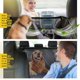 thumbnail image 2 of Funda de asiento para perros Vailge impermeable con ventana de malla para asiento trasero de coche, 2 of 8