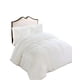 thumbnail image 1 of Pack Cobertor De Invierno Peludo 2 Plazas 230x250cm Clanco, 1 of 4