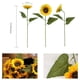 thumbnail image 3 of Flores De Girasol Artificiales De Seda De Tallo Largo 6 Unidades, 3 of 7