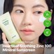 thumbnail image 2 of Protector Solar GOODAL Heartleaf Calmante con Zinc 100 FPS 50 50 ml, 2 of 9