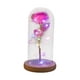 thumbnail image 2 of Flores Eternas Decoración De Flores Hogar De Mesa En Cúpula Redonda Con Luces De Hadas Rosa, 2 of 3