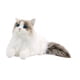 thumbnail image 3 of Muñeco De Gato Realista De Peluche De Gato Ragdoll Para Amantes De Los Gatos Niños Niñas Gato, 3 of 5