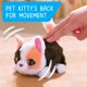 thumbnail image 3 of Juguete interactivo Just Play FurReal My Minis Kitty para más de 4 años, 3 of 6