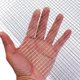 thumbnail image 1 of Malla de alambre, 4 mallas, acero inoxidable 304, 310 x 620 mm, paquete de 2, 1 of 7