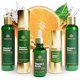 thumbnail image 2 of Set Cuidado Facial Tree of Life Vitamina C 5 Unidades, 2 of 3