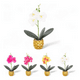 thumbnail image 1 of Flor artificial decorativa, 1 of 3