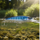 thumbnail image 4 of Señuelo Rapala X-rap Magnum 72g Sw Trolling Embarcado Color HDBTO, 4 of 4