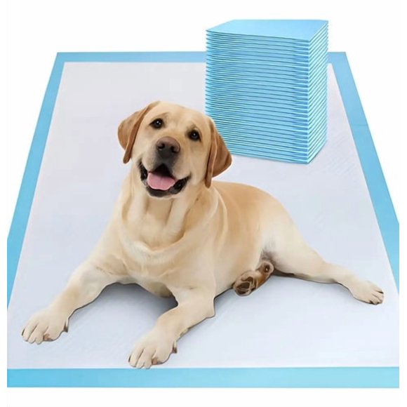 50 Pañales Tapete Entrenador Aroma Perro Almohadillas 45x60 Celeste/blanco