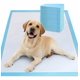 thumbnail image 1 of 50 Pañales Tapete Entrenador Aroma Perro Almohadillas 45x60 Celeste/blanco, 1 of 3