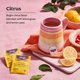 thumbnail image 4 of Tea Yogi Sweet Lemon Everyday Immune, 16 bolsas x 4 paquetes, 4 of 6
