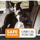 thumbnail image 3 of Cinturón de seguridad para auto para perro Mighty Paw, 850 lb, 16 a 26 pulgadas, 3 of 3
