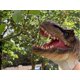 thumbnail image 5 of Set de marionetas Gemini&Genius Tyrannosaurus & Shark, 5 of 9