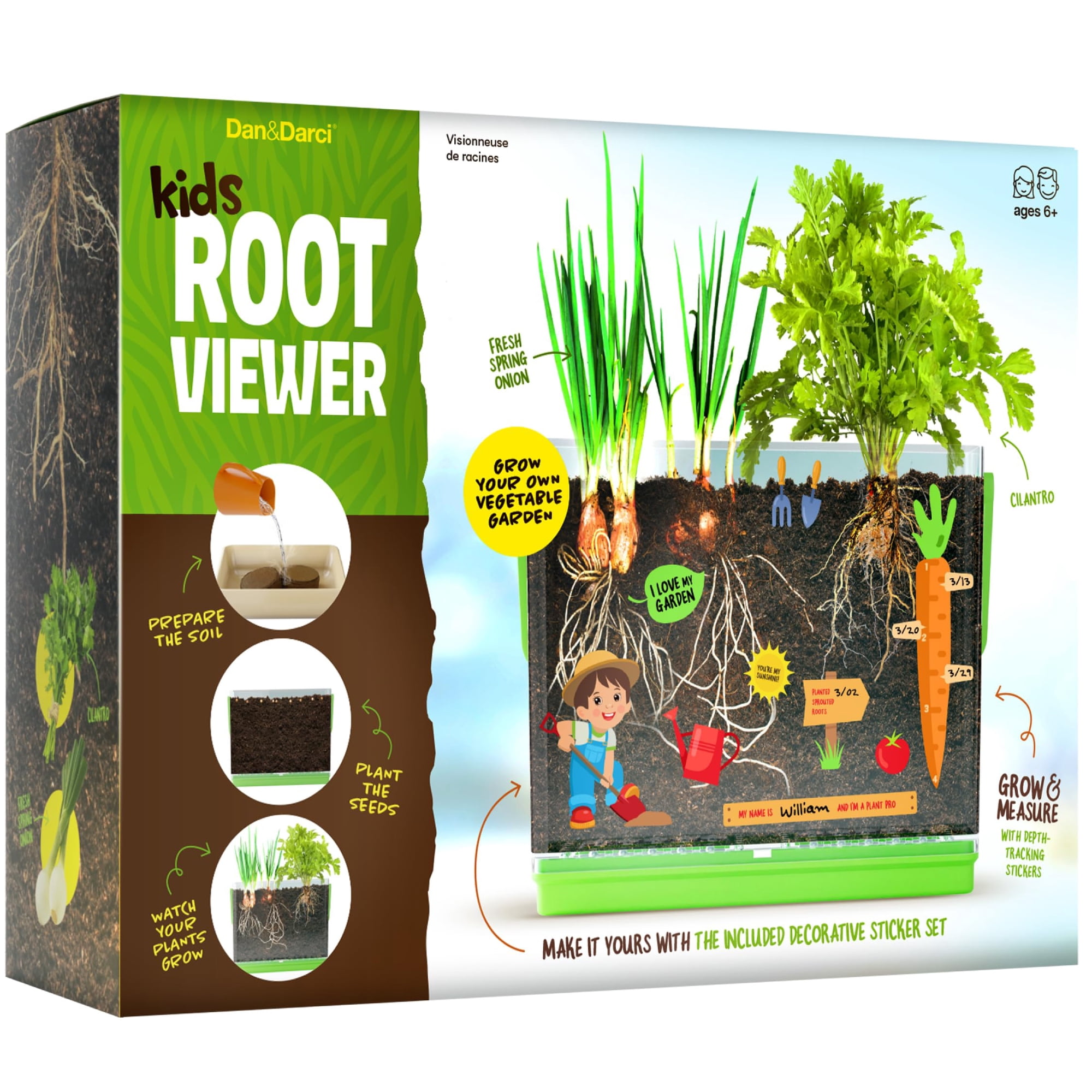 Root Viewer Kit Dan&darci Grow Plant Science, Juguete Para Niños De 4 A 8 Años