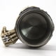 thumbnail image 2 of Tazón Calavera Skull soldado Acero inoxidable, 2 of 4